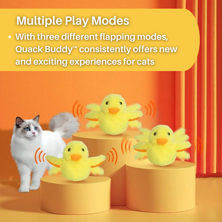 Flappoló Kacsa Játék Macskáknak - DuckDash™ (1+1 INGYEN)