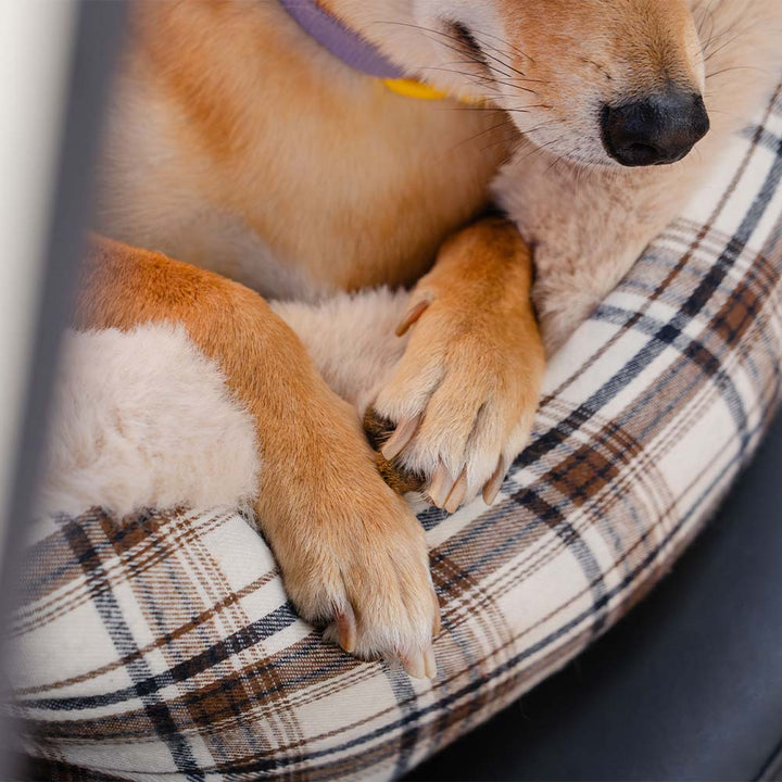 AA NOT AVAIALBLE Plüss Autósülés Háziállatok Számára – RideSafe CozySeat