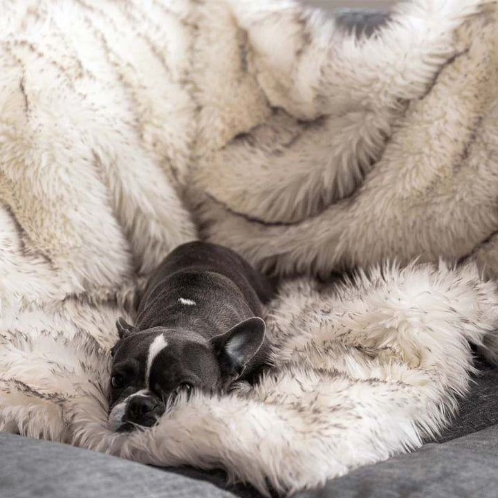 Luxus Vízálló Háziállat Párna - CozyPaw™
