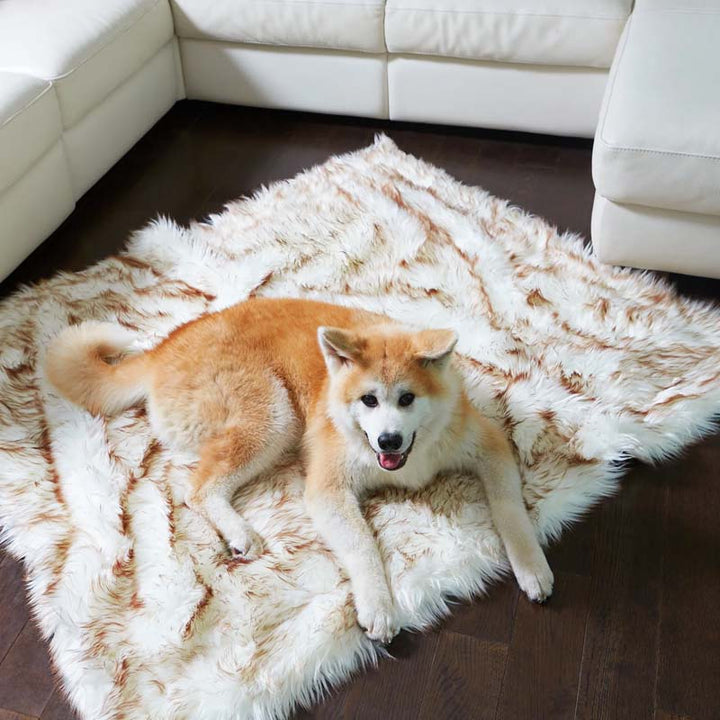 Luxus Vízálló Háziállat Párna - CozyPaw™