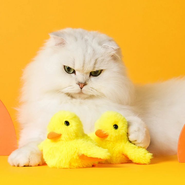 Flappoló Kacsa Játék Macskáknak - DuckDash™ (1+1 INGYEN)