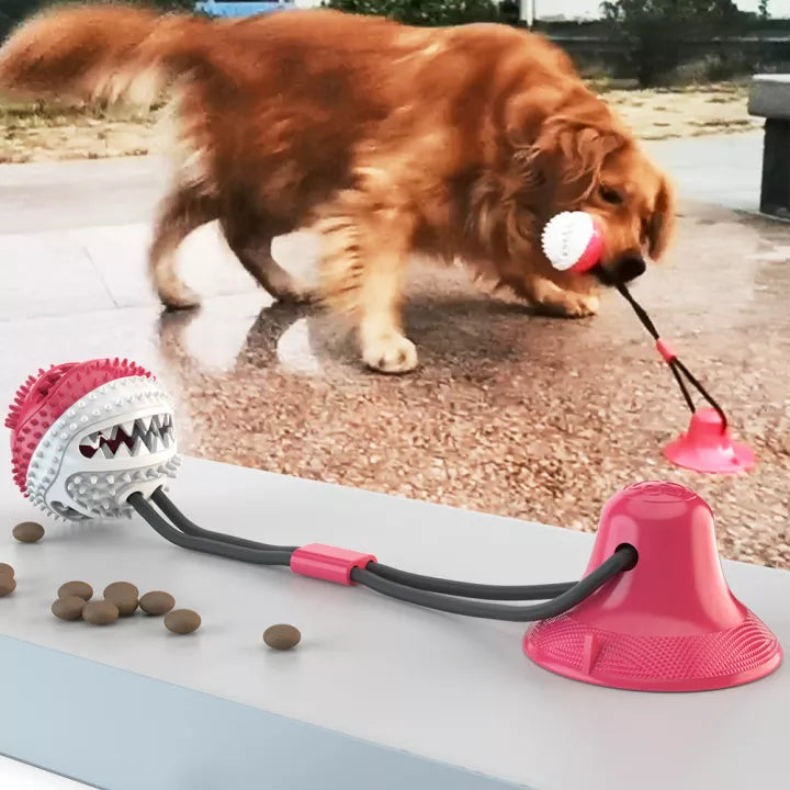 Masszív kutyaterelő kötél - PlayPaw