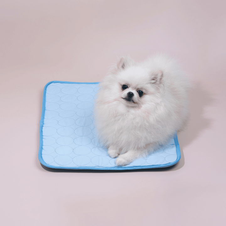 Innovatív Hűsítőmatrac Kutyáknak (4x Hűtőteljesítmény) - ChillComfort