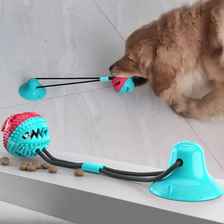 Masszív kutyaterelő kötél - PlayPaw