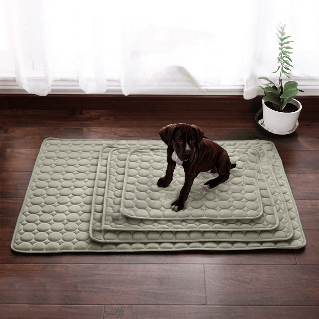 Innovatív Hűsítőmatrac Kutyáknak (4x Hűtőteljesítmény) - ChillComfort