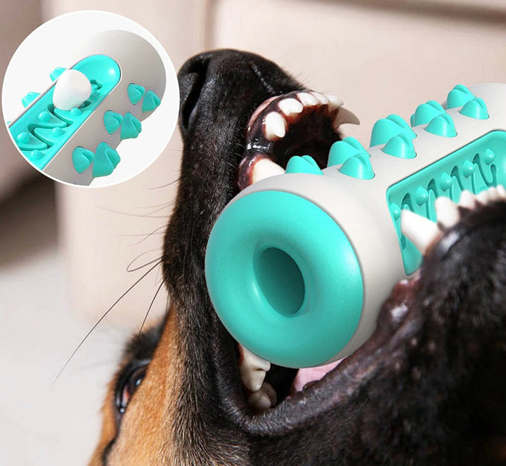 Fogkő eltávolító rágójáték kutyák számára – Chewly