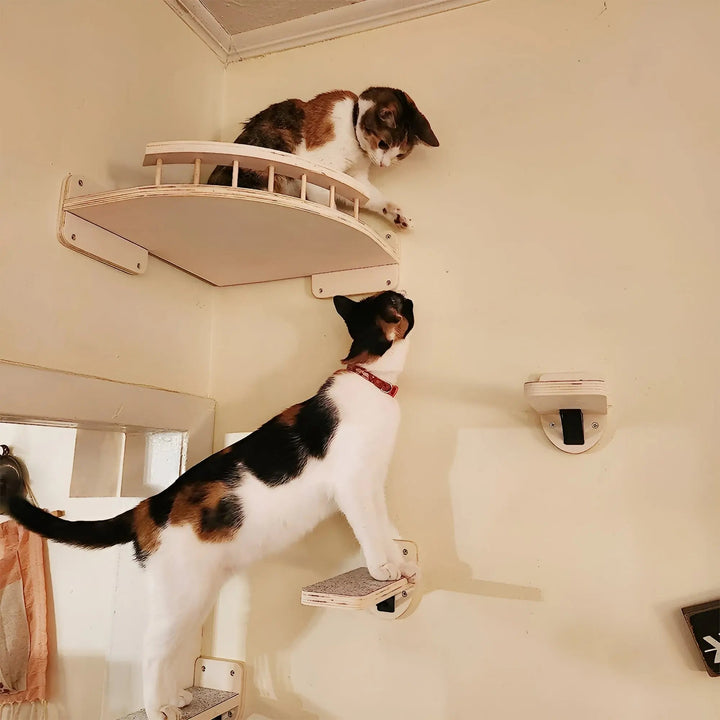 Falankmászó fal macskáknak kaparófával - ClimbPaws