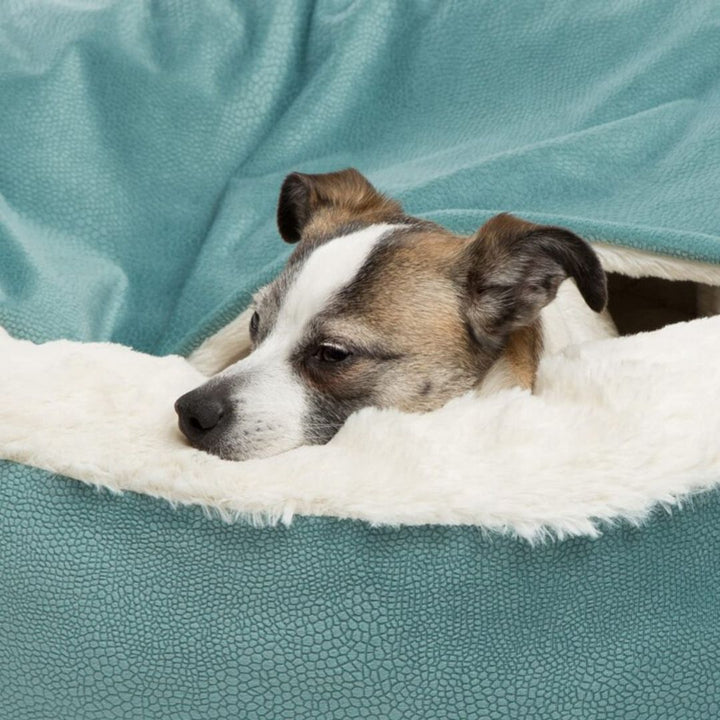 Kutyás Ölelkezőbarlang - SnuggleNest