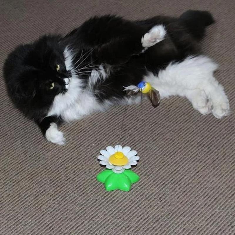 Interaktív Macskajáték - Purrfect Play