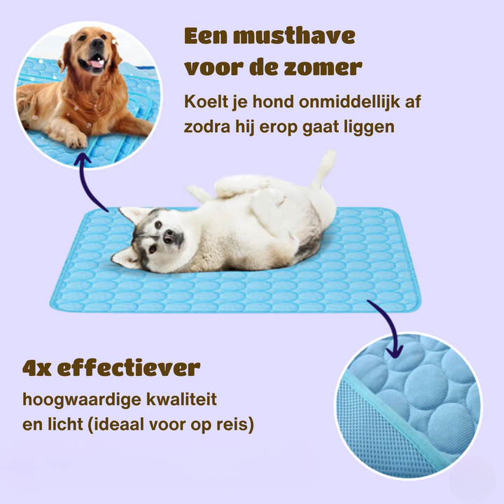 Innovatív Hűsítőmatrac Kutyáknak (4x Hűtőteljesítmény) - ChillComfort