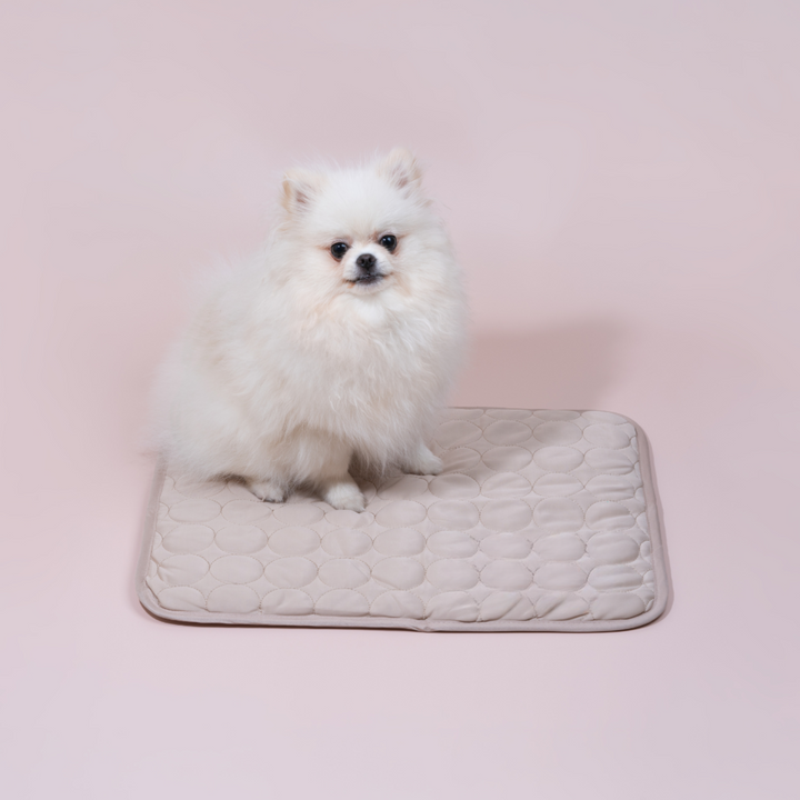Innovatív Hűsítőmatrac Kutyáknak (4x Hűtőteljesítmény) - ChillComfort