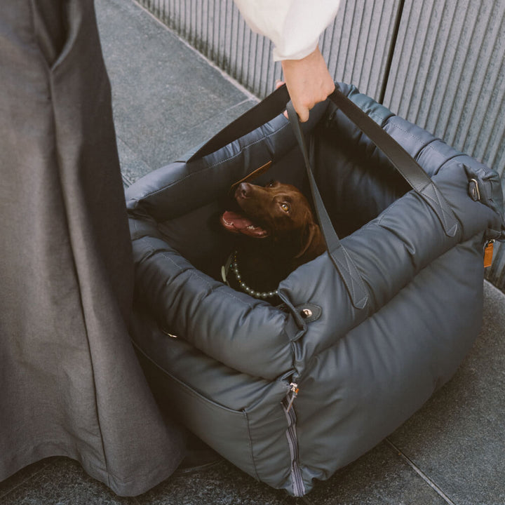 AA OOS Kényelmes Autósülés Kutyáknak - PawLuxury