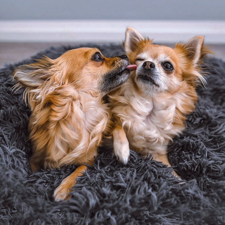 AA NOT AVAILABLE Fluffy Plus kutyaágy – Az eredeti