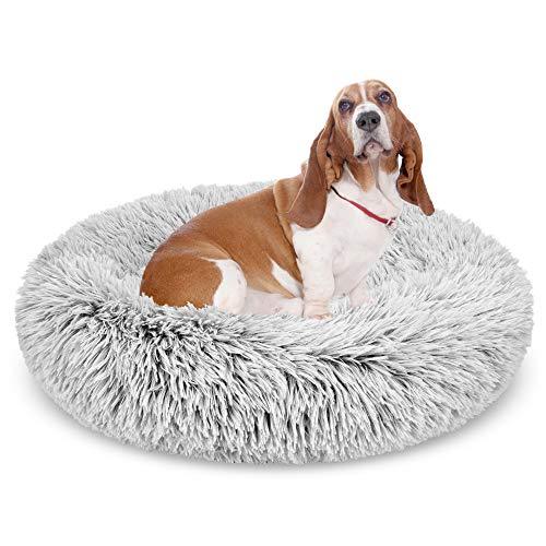 Nyugtató kutyapárna - Snoozy