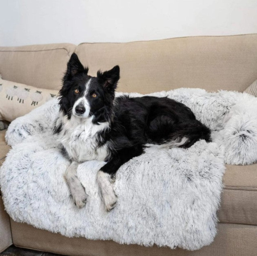Luxus Kutyafotel Ágy - PawLounge