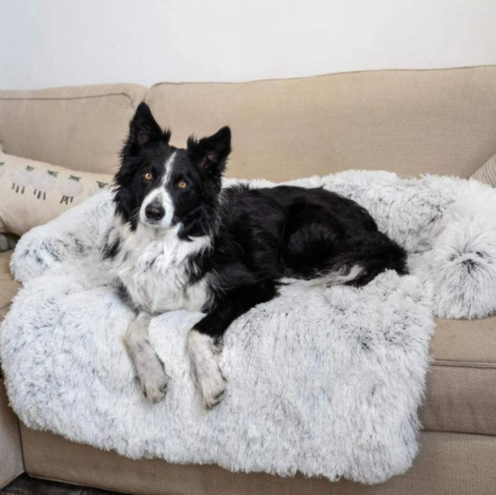 Luxus Kutyafotel Ágy - PawLounge
