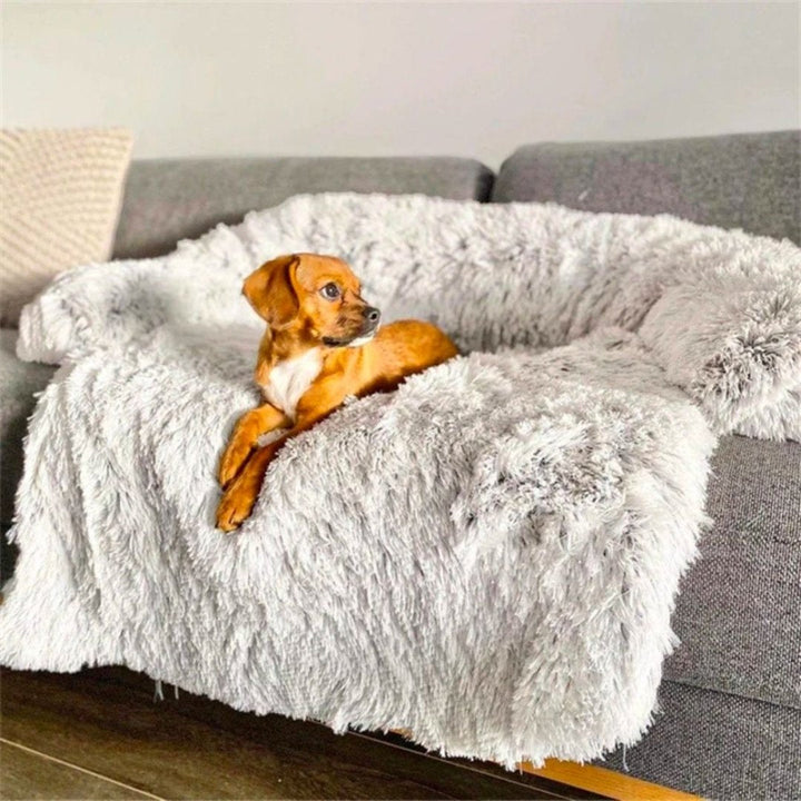 Luxus Kutyafotel Ágy - PawLounge