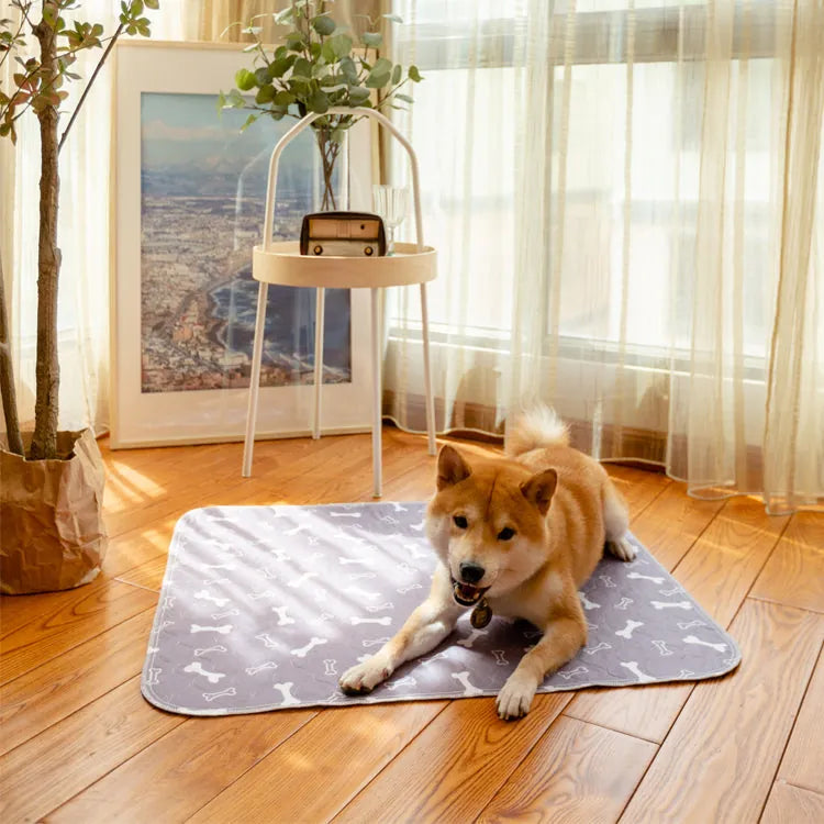 Vízálló házikedvenc szőnyeg - PetPaws Comfortmat