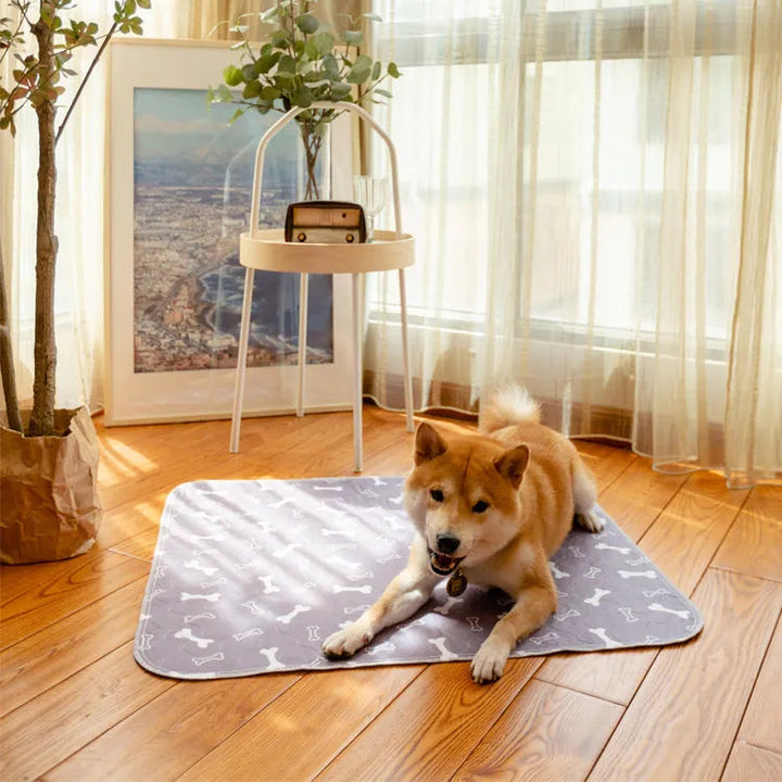 Vízálló házikedvenc szőnyeg - PetPaws Comfortmat