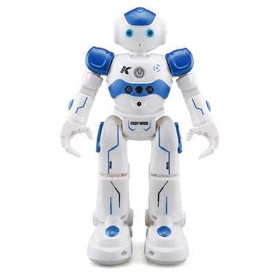 Interaktív Oktatási Robot - NovaBot