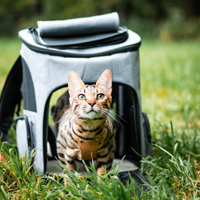 Macskakabát - PurrPack™