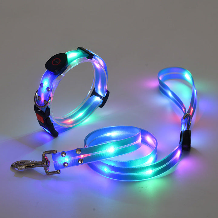 Világító LED Kutyanyakörv Pórázzal - NightBright