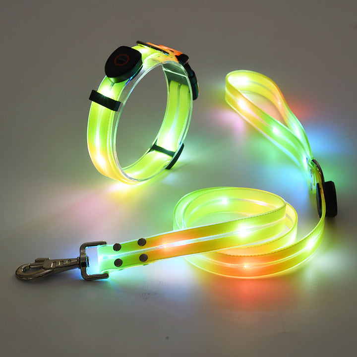 Világító LED Kutyanyakörv Pórázzal - NightBright