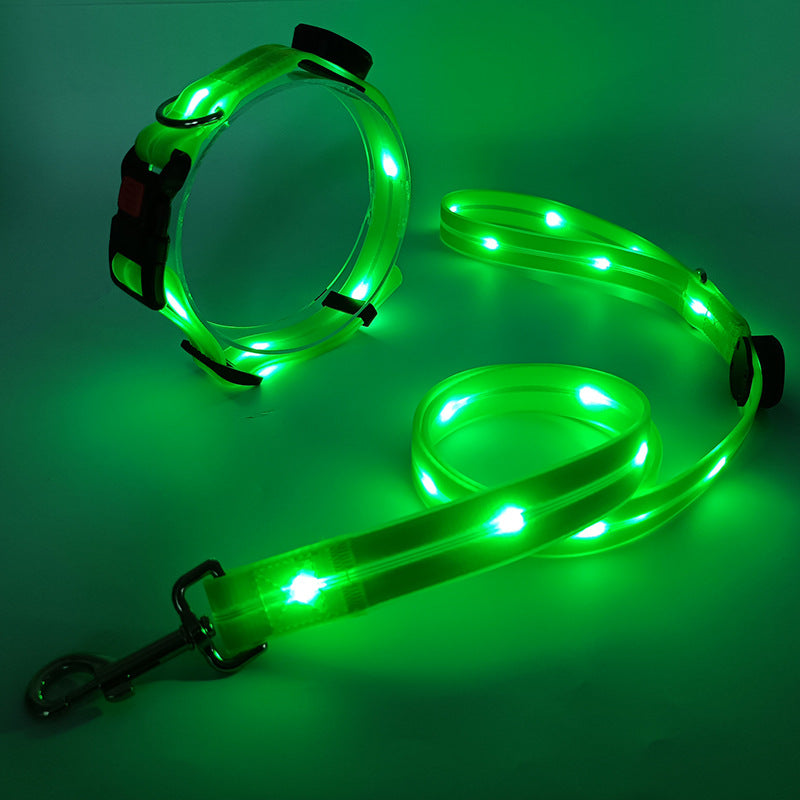 Világító LED Kutyanyakörv Pórázzal - NightBright