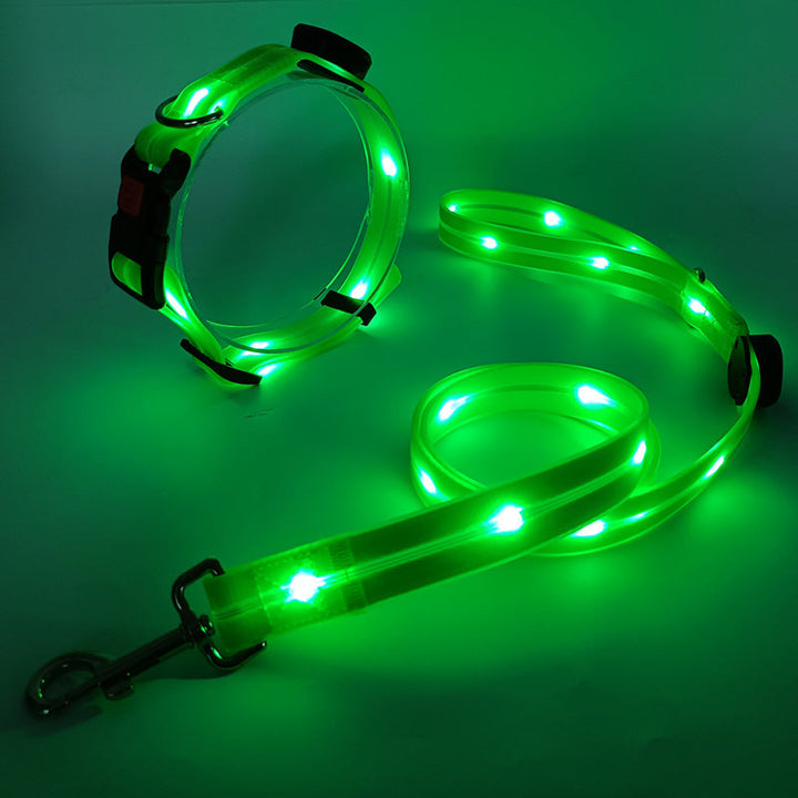 Világító LED Kutyanyakörv Pórázzal - NightBright
