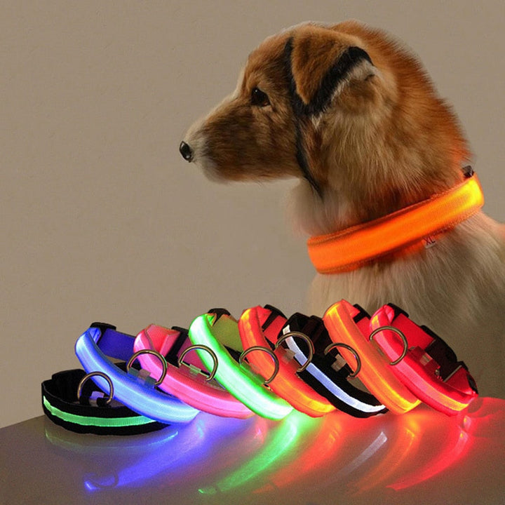 LED világítással ellátott kutyanyakörv - GlowCollar