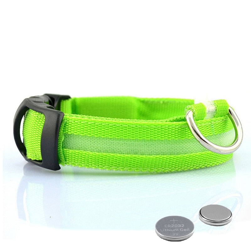 LED világítással ellátott kutyanyakörv - GlowCollar
