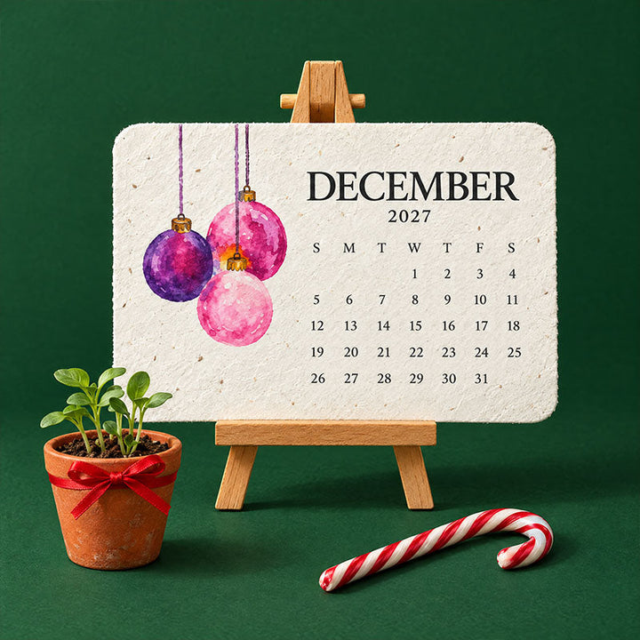 Decemberi naptárlap lila és rózsaszín gömbdíszekkel fa állványon, mellette csírázó növény cserépben és cukorbot 3