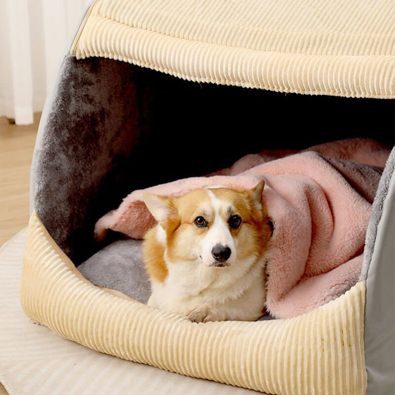AA NOT AVAILABLE  Kényelmes Kutyatáborágy - CozyCave