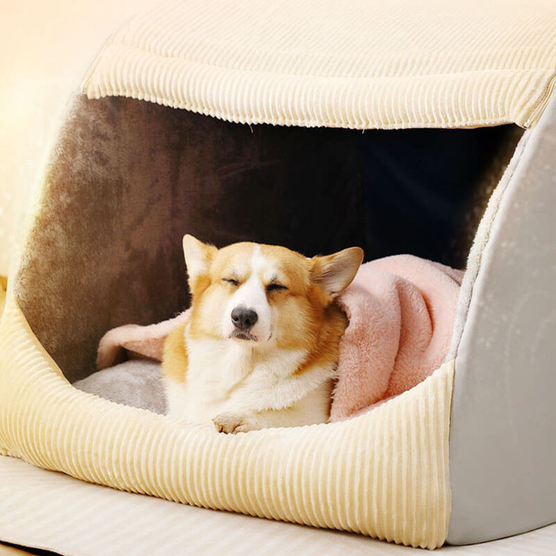AA NOT AVAILABLE  Kényelmes Kutyatáborágy - CozyCave