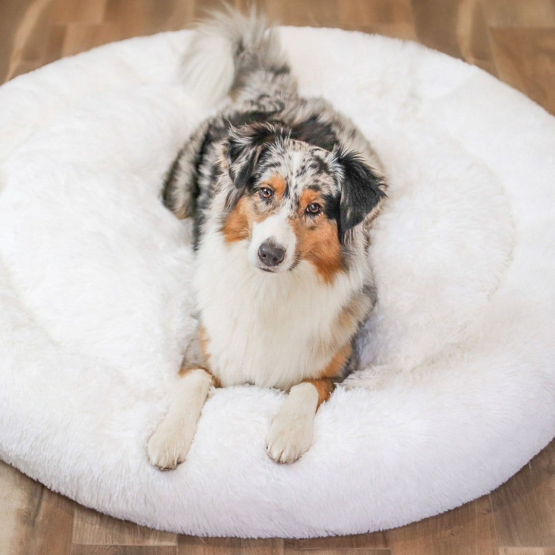 AA NOT AVAILABLE Fluffy Plus kutyaágy – Az eredeti