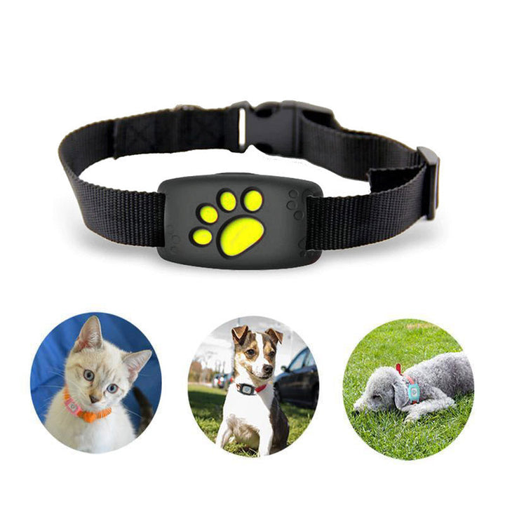 Okos GPS-nyakörv macskáknak és kis kutyáknak – PawTrack