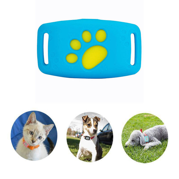 Okos GPS-nyakörv macskáknak és kis kutyáknak – PawTrack