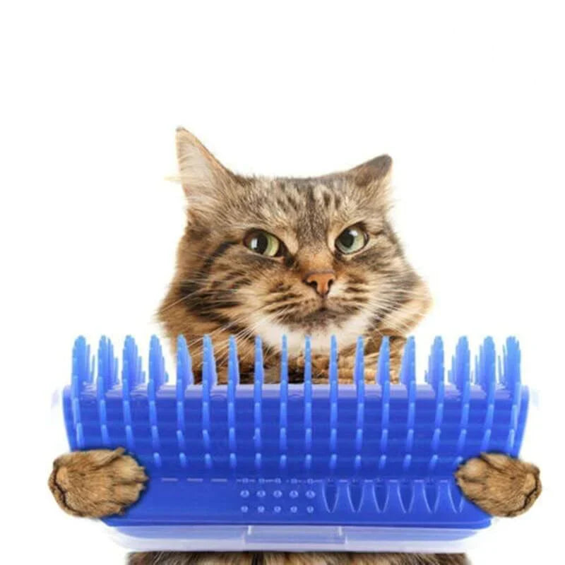 Macska Sarokkefe Az Öngondoskodáshoz - PurrGroom