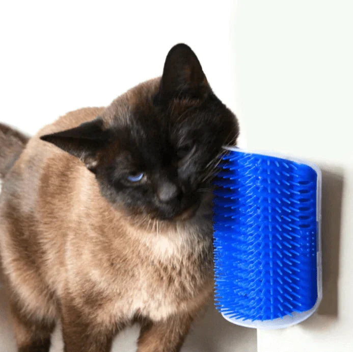 Macska Sarokkefe Az Öngondoskodáshoz - PurrGroom