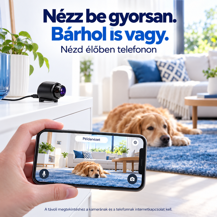 Kábellel csatlakoztatott fekete kamera egy komódon, előtte kézben tartott telefon mutatja a kutyát 2