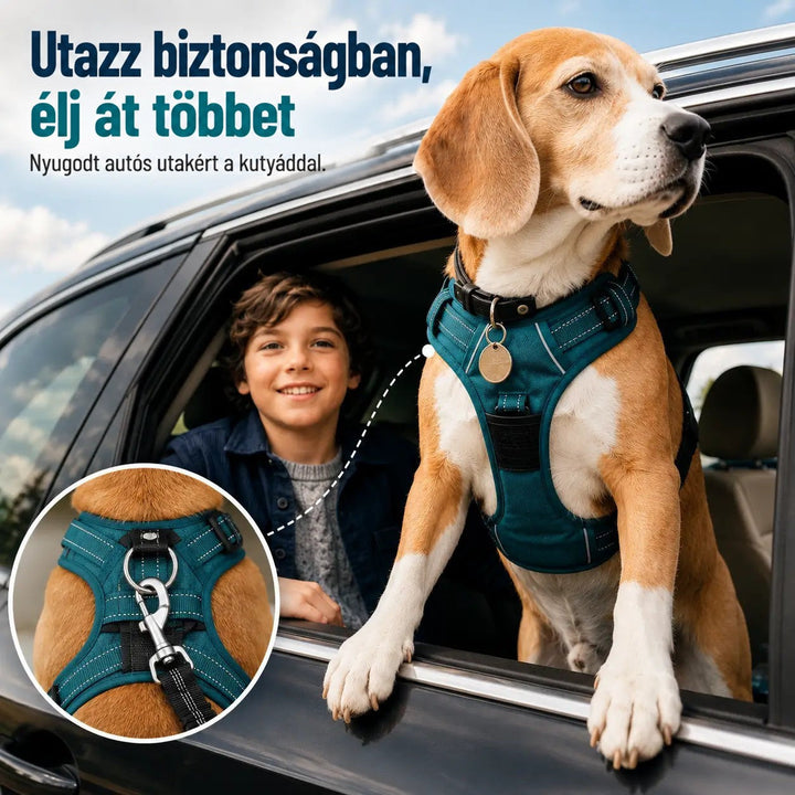 Beagle zöldeskék hámban kihajol az autó ablakán, mellette mosolygó fiú, kinagyítva a hám hátsó karabinere 8