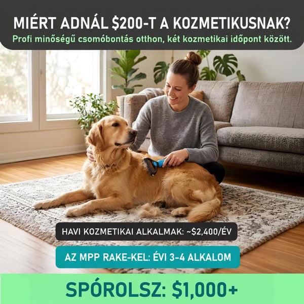 Nő a nappaliban szőnyegen ülve kék nyelű gereblyével fésüli az arany színű retriever kutyáját. 2