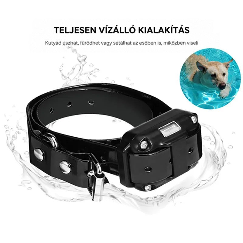 Fekete nyakörv vízcseppek között, a sarokban úszó kutya, a vízállóságot szemléltetve 7
