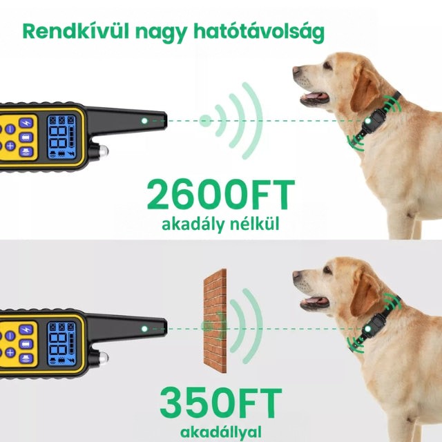 Szemléltető ábra: a távirányító jele akadály nélkül és téglafalon át jut el a labradorhoz 4