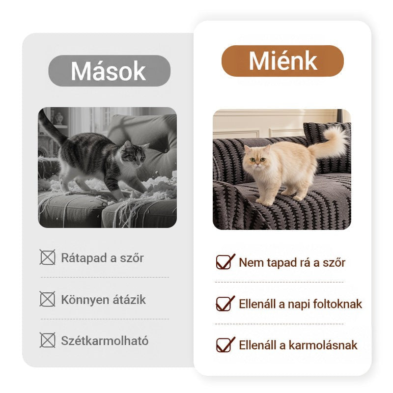 Összehasonlító kép: szétkarmolt kanapé egy cicával, mellette ép huzatú kanapé hosszú szőrű macskával 4