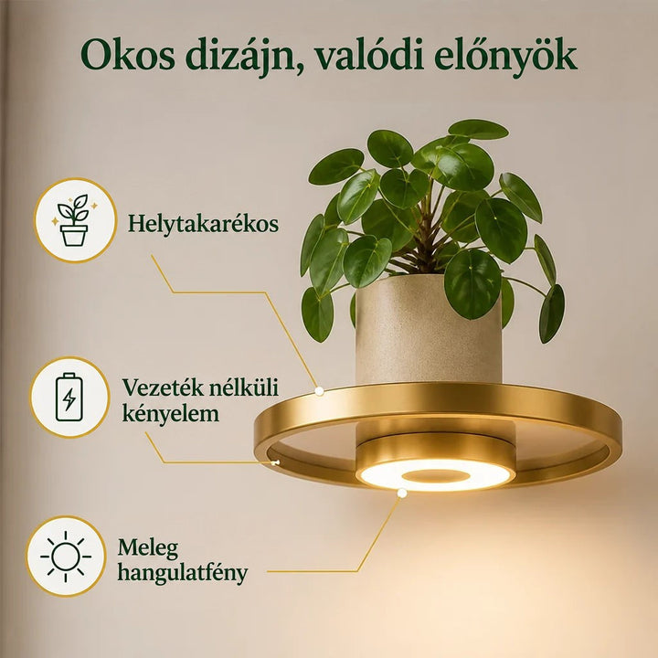 Közeli kép egy kerek arany polcról, amelyen cserepes növény áll, alatta a beépített, meleg fényű LED korong látszik. 3