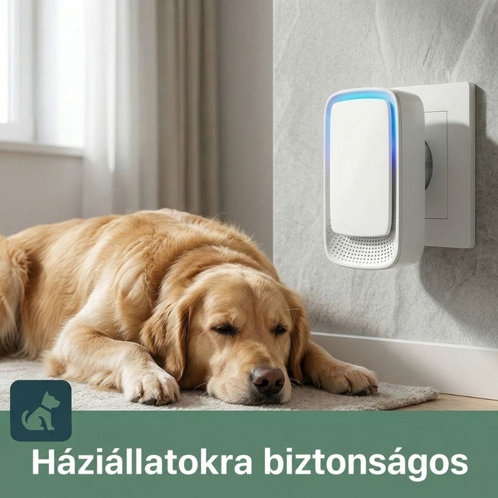 Fali konnektorba dugott kék fényű készülék mellett békésen alvó aranyszínű kutya a szőnyegen 2