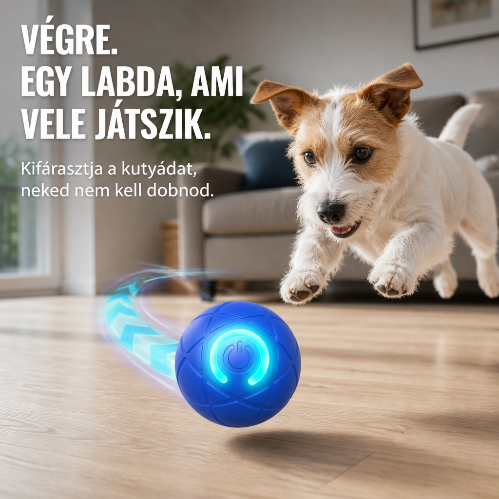 Kék, világító gombos labda gurul a parkettán, mögötte egy kis fehér-barna kutya ugrik utána 1