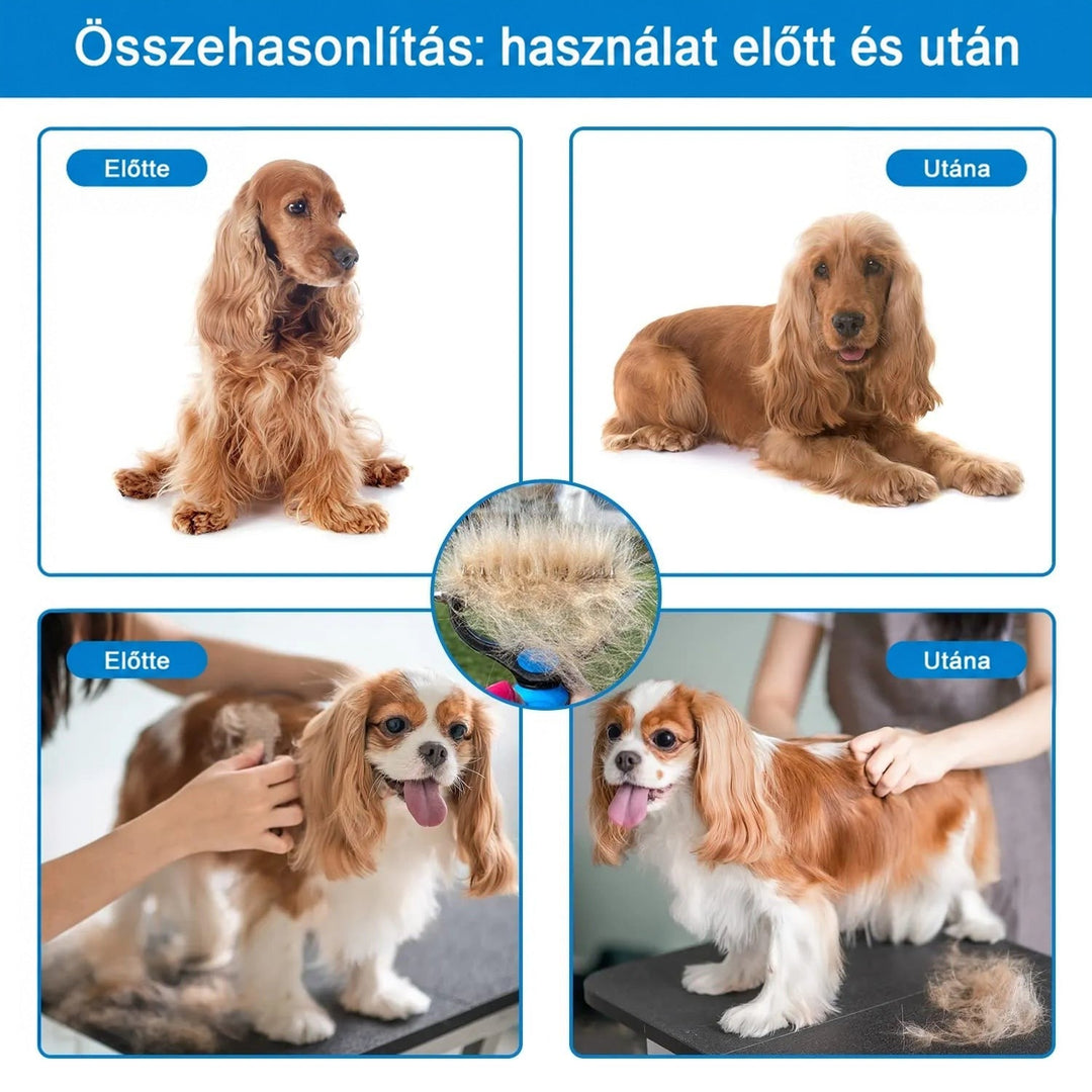 Négyes előtte-utána összehasonlítás: két kutya a fésülés előtt és után, középen a gereblyébe gyűlt aljszőr. 6