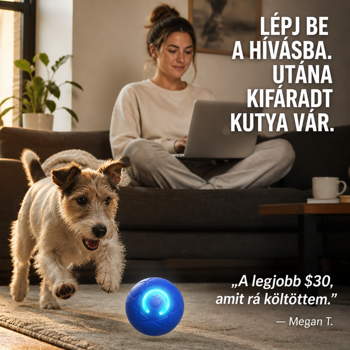 Kanapén laptopozó nő, előtte egy kutya játszik a világító kék labdával a szőnyegen 7
